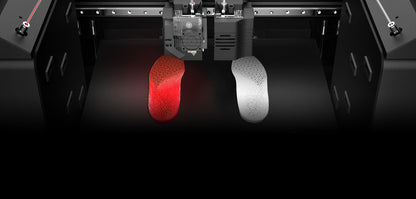 Raise3D E2 Desktop 3D Printer - Includes Auto Leveling and IDEX - R3DE2