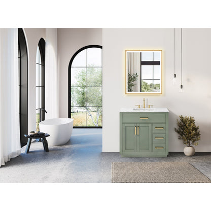 Altair Designs Ivy 30"/36"/48" single vanity with top - 531030-VG-CA-NM